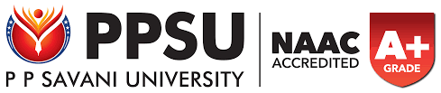 PP Savani University